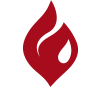 combustiblesicon_red